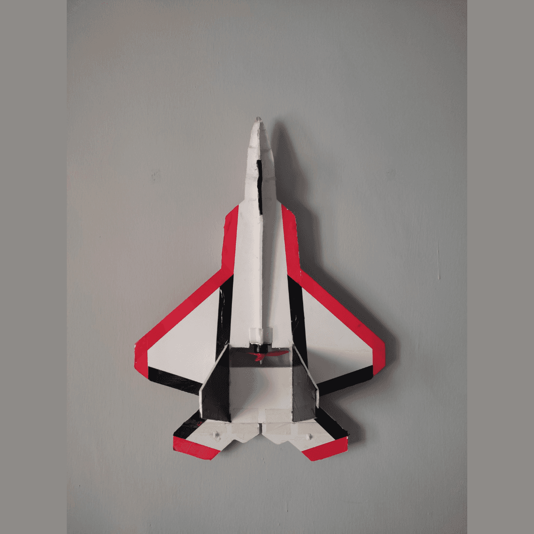 Painted Aircraft